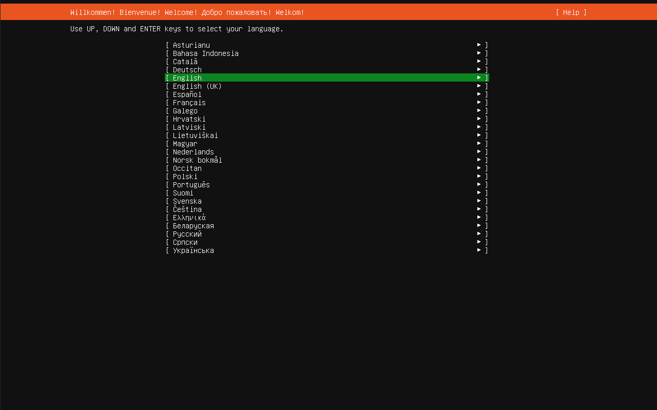 ubuntu server language selection